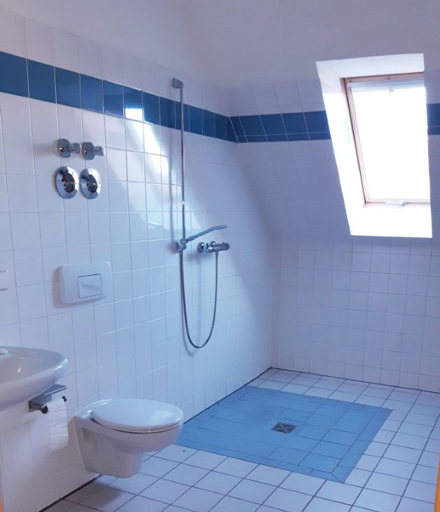 Ein Badezimmer im Dachgeschoss mit einer bodenebenen Dusche, sowie einer Toilette und einem Waschbecken auf der linken Seite.